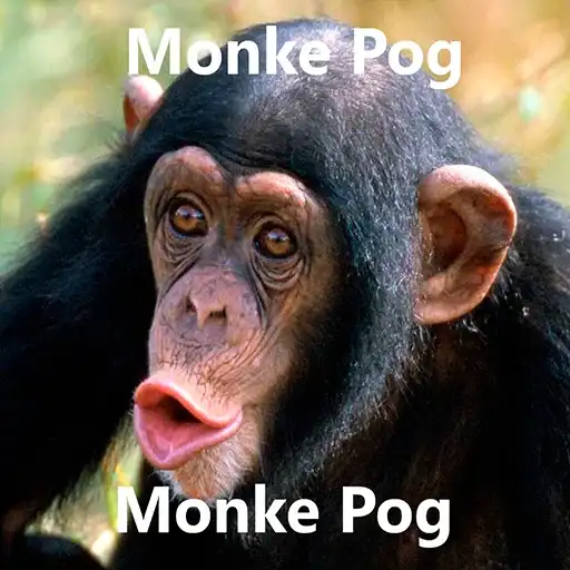 Monke preview