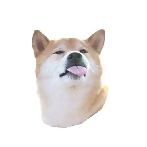 Doge preview