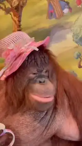 Лола🥰 preview