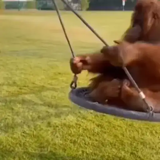 Sticker 🙂‍↔️