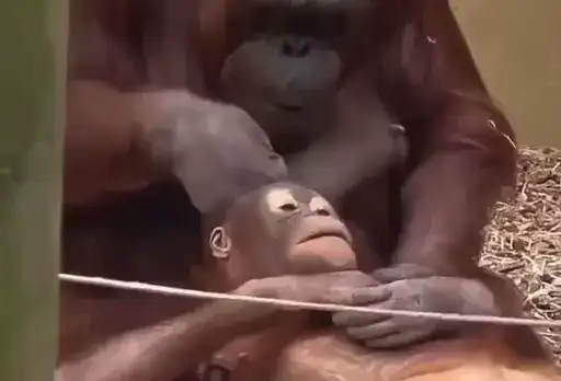 Лола🥰 preview