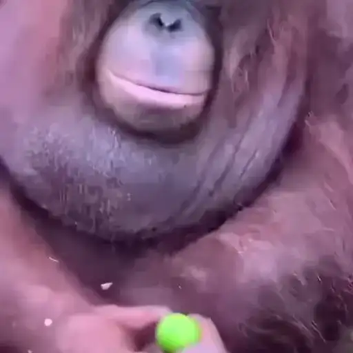 Sticker 🤹‍♀️