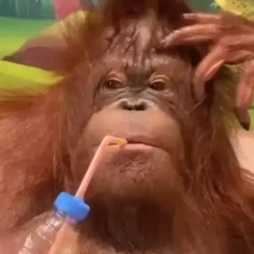 Лола🥰 preview