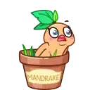 Magic Mandrake preview