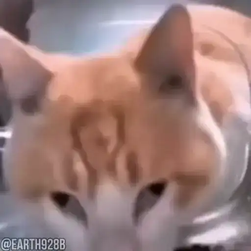 Рандомные МЕМЫ preview