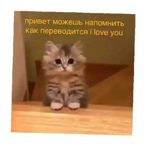 Sticker ❤️