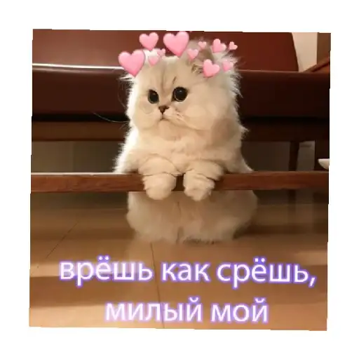 Sticker 😒