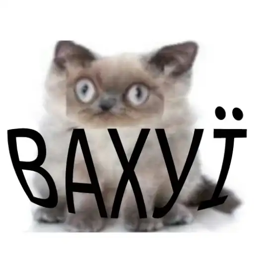 Брейн демедж preview