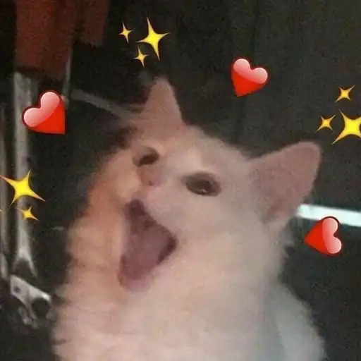 Мяу мяу preview