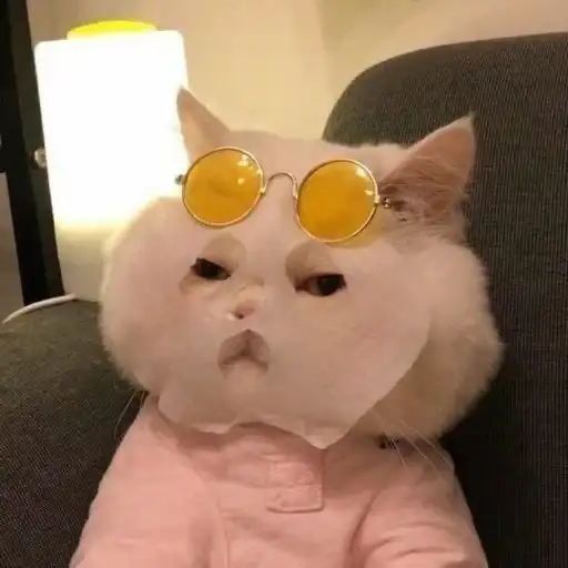 Мяу мяу preview