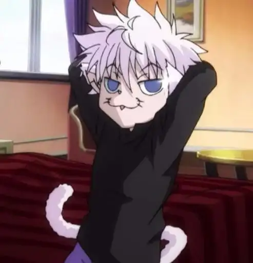 Hunter x hunter preview