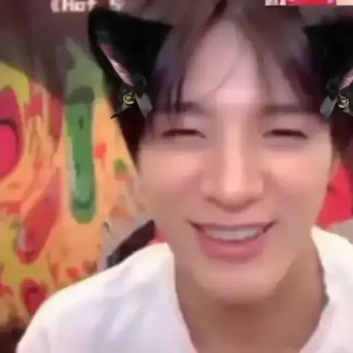 Sticker 😽