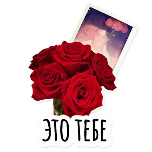 Sticker 🌹