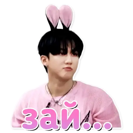 Stray Kids 2.0 preview