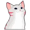 Popping Cat 😼 preview