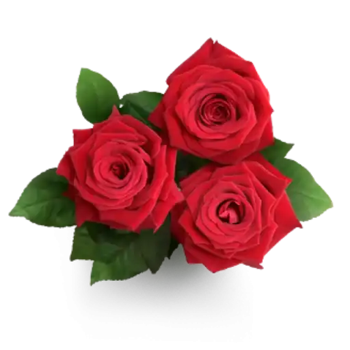 Cosplay channel preview