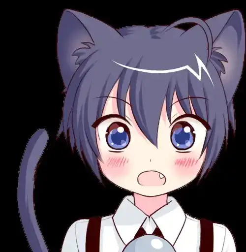 Boy of the Black Cat Animated preview