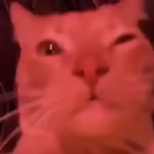 Мурмяу preview