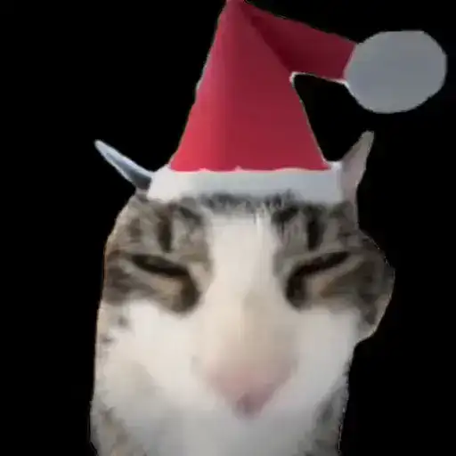 TikTok Animals preview