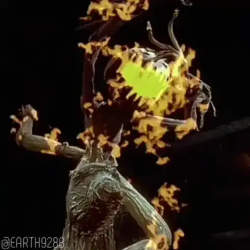 The NB Christmas preview