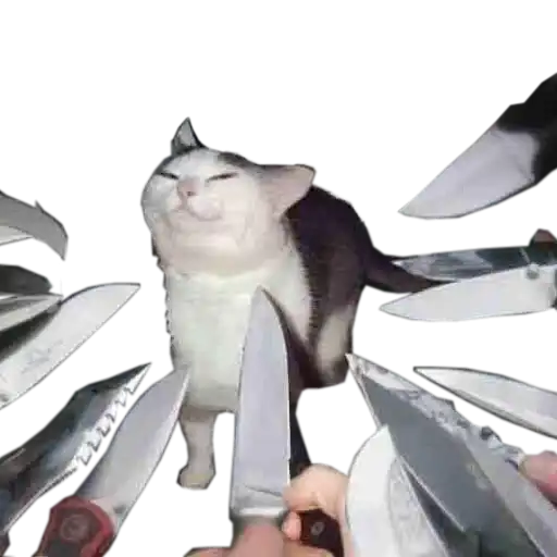 Cats cats cats preview