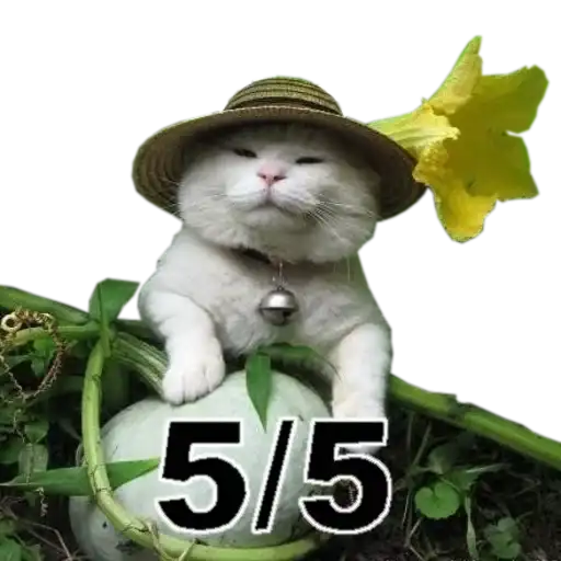 Cats cats cats preview