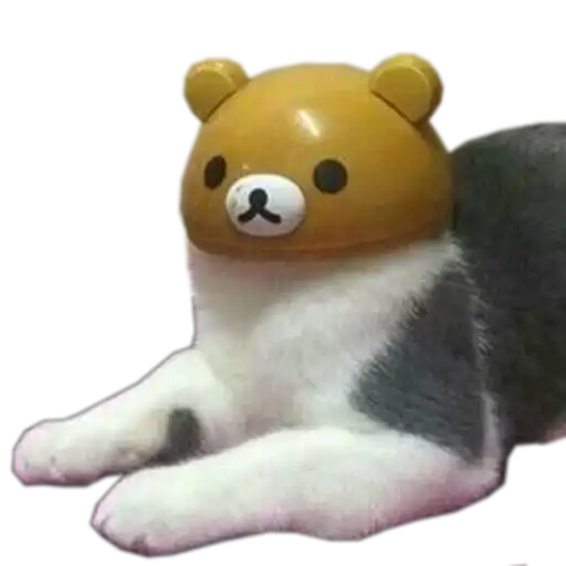 Cats cats cats preview