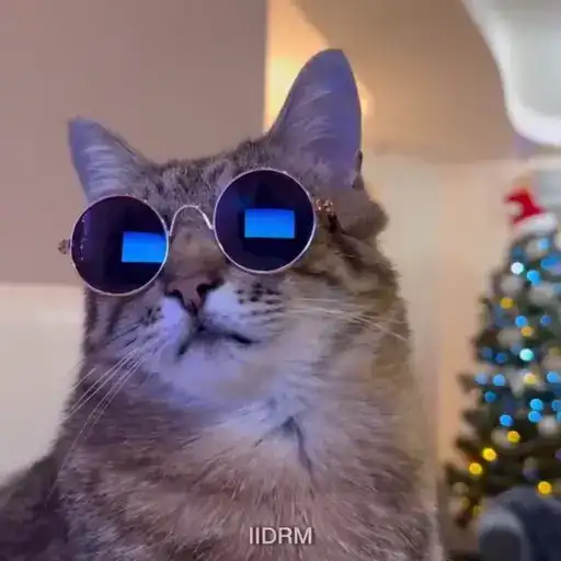 𝐚𝐧𝐢𝐦𝐚𝐥𝐬 ² preview