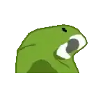 Party Parrot Animated 2 preview