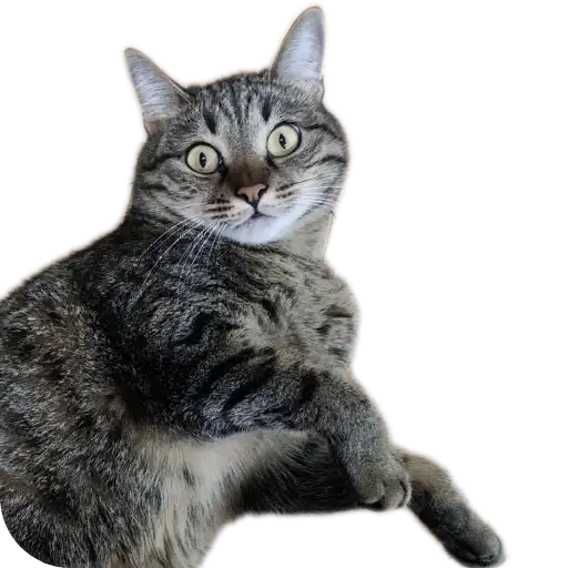 Бисквит 2.0 preview