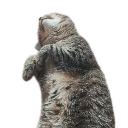 Бисквит 2.0 preview