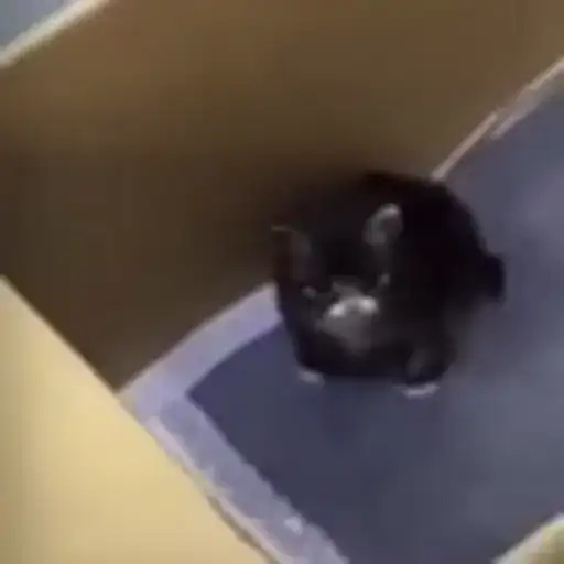 motivator 2666 by Tg Emodzi Bot preview