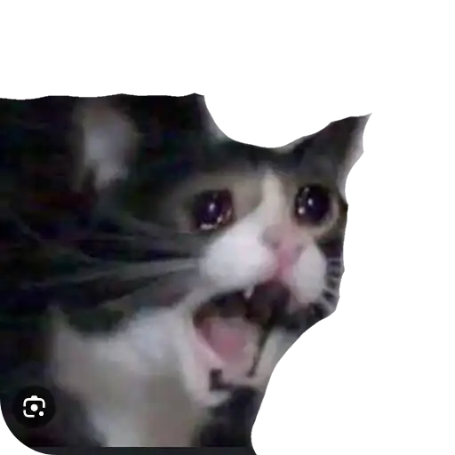 Sticker 🐱