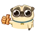 Penny Pug preview