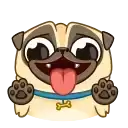 Penny Pug preview