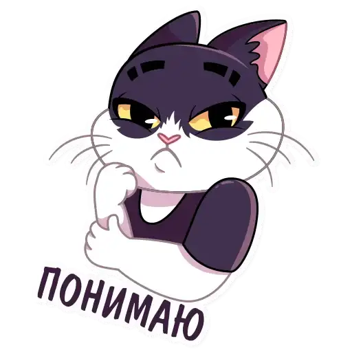 Кот Дайвинчика preview