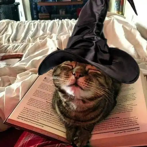 Sticker 🧙‍♀️