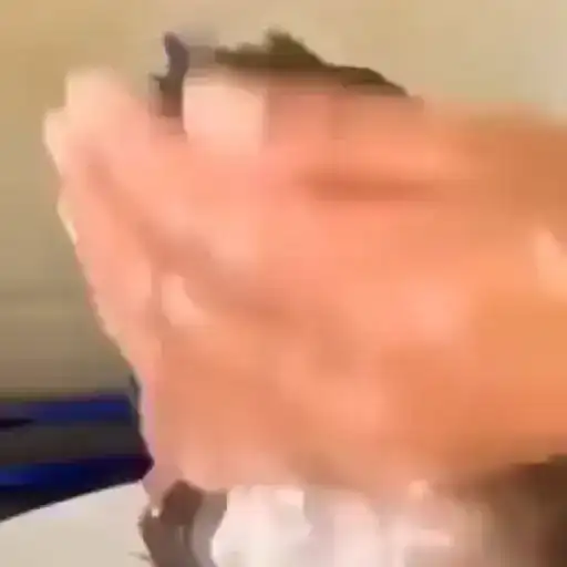 Sticker 🤦‍♀️