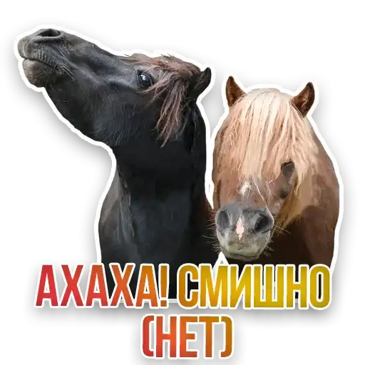 Sticker 🐴