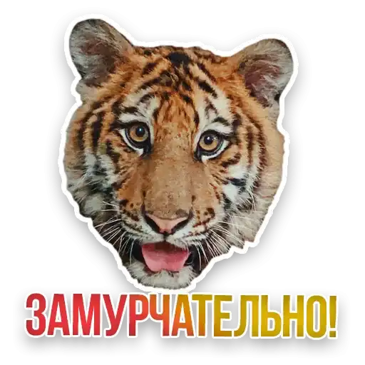 Sticker 🐯