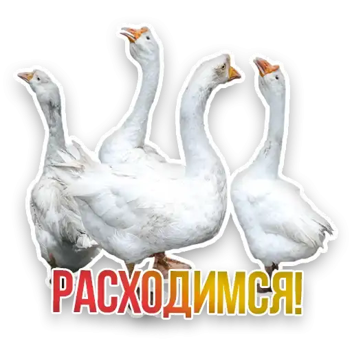 Sticker 👷‍♂️