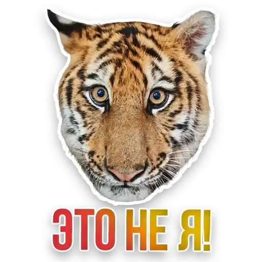 Недомашние животные preview