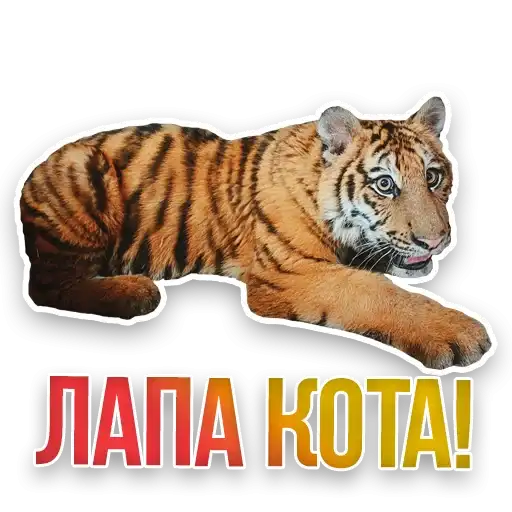 Sticker 🐅