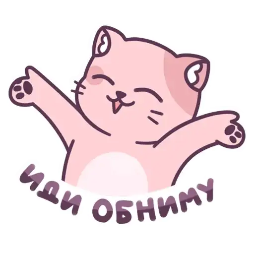 Cats preview