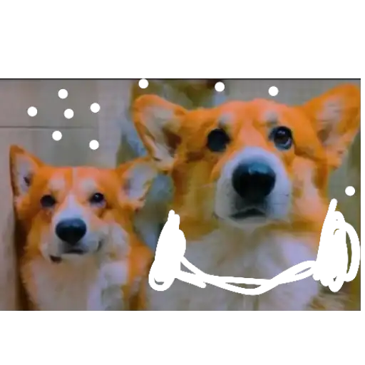 Бандит, Бублик, Кекс, Коржик4 preview