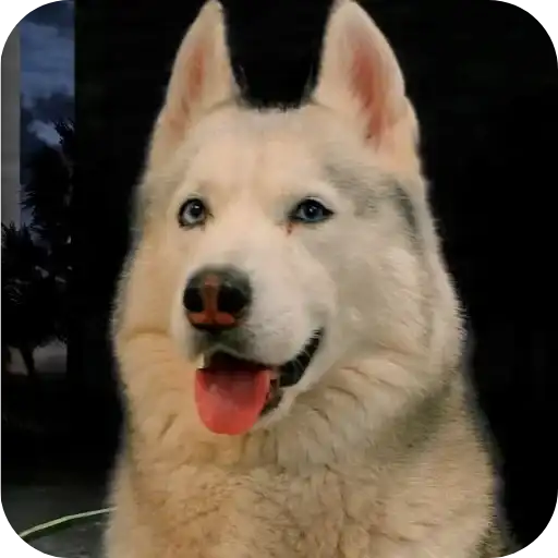 Бублик, Бандит, Коржик, Кекс preview