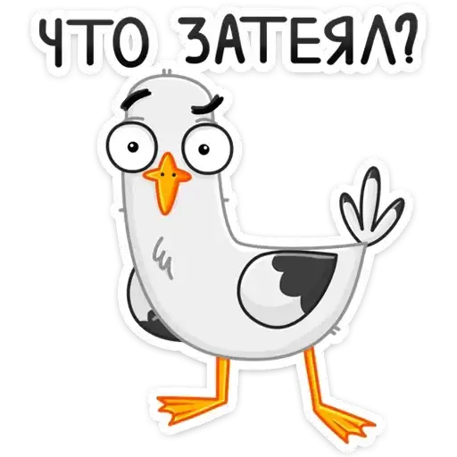 Чайка Сэм preview