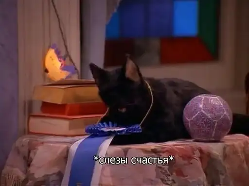 SALEM MEOW 🐈‍⬛ preview