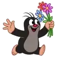 8 Марта preview