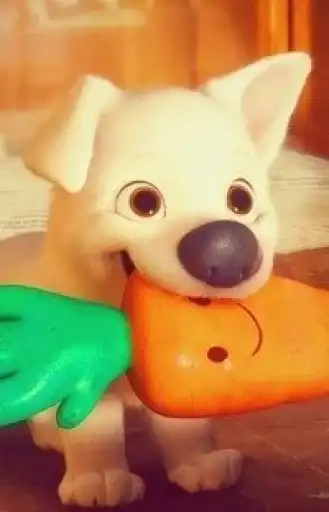 Nyasha Anton preview